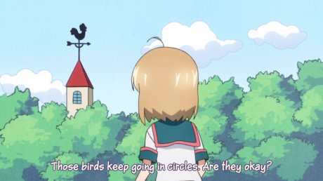 Birds