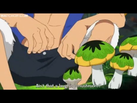 One Piece (desc.)