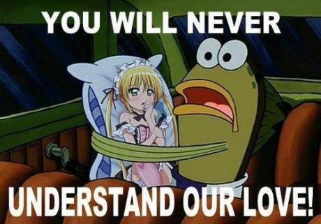 no one will