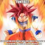 Fun Fact Time