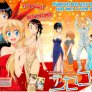 I present you.. Nisekoi
