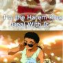 The Harem King