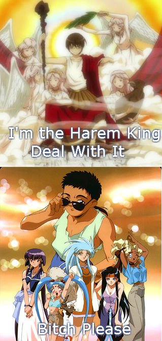 The Harem King