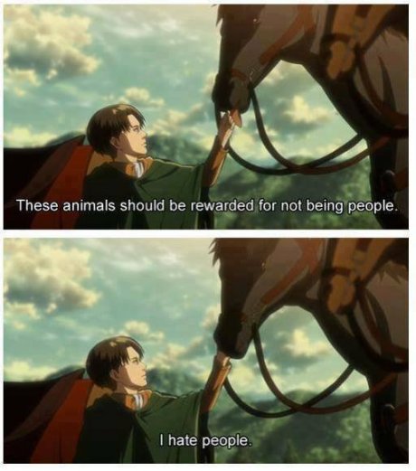 Animals>People