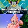 The Goals Of DBZ Villains