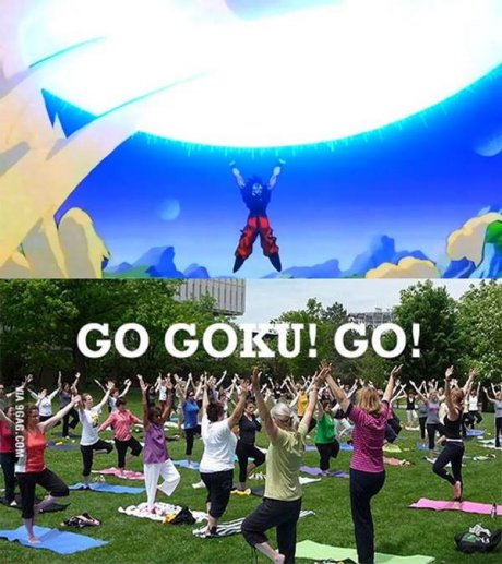 Go Goku Go