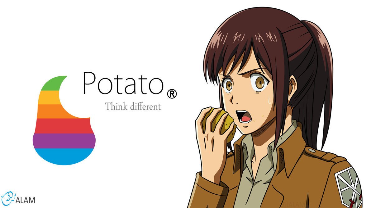 Attack on potato