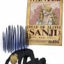 HA! I mean, poor Sanji