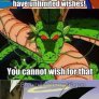 Clever Goku Is Clever