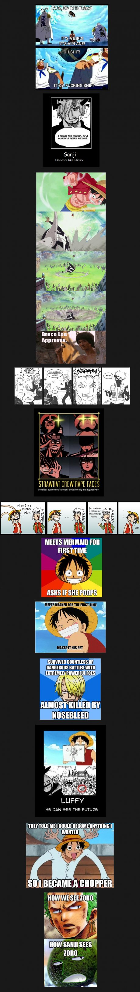One Piece Comp