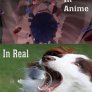 Jinjuriki Attack