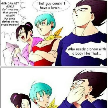 Dammit Vegeta