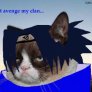 Sasuke the Grumpy Cat