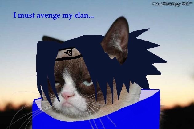 Sasuke the Grumpy Cat