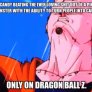 That's DBZ For Ya