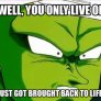 Get Your Shit Together, Piccolo