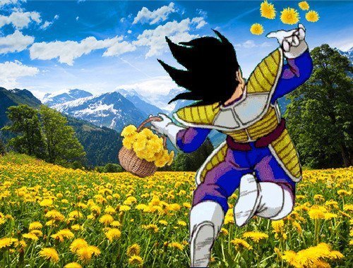 The Prince Of All Flowers