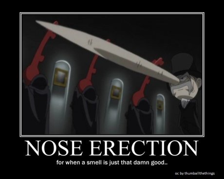 erections...
