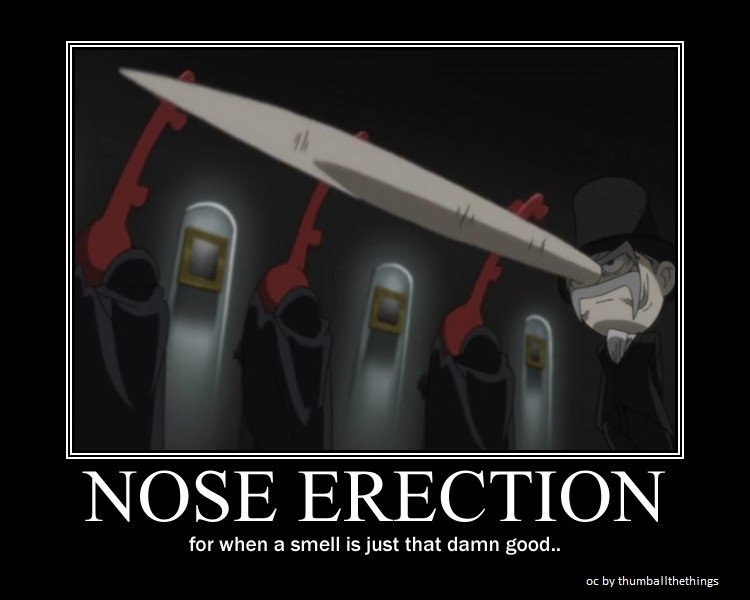 erections...