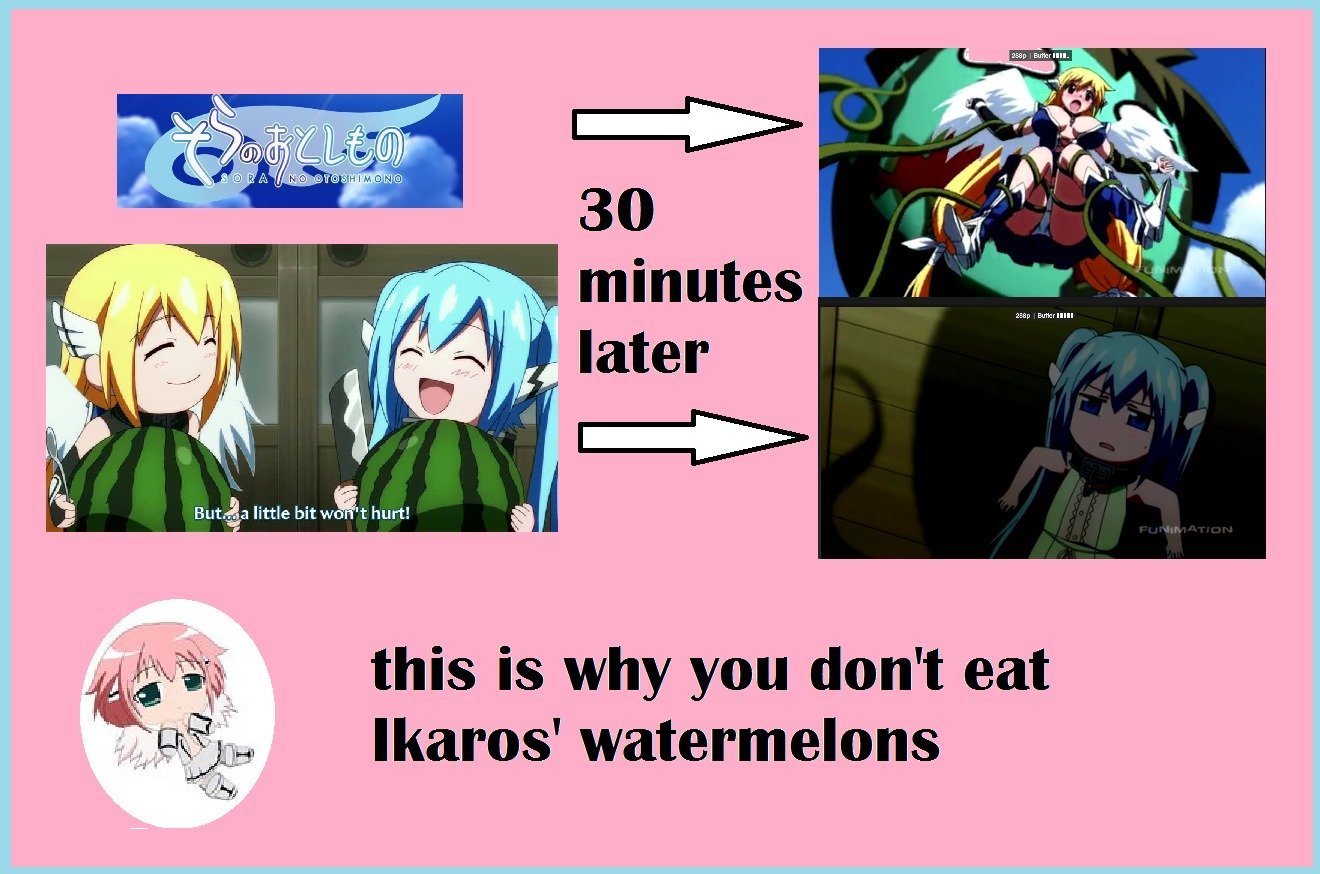 Don't eat the watermelons