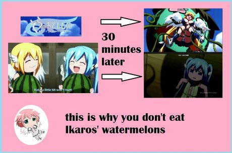 Don't eat the watermelons