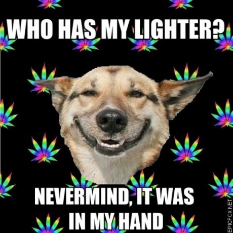 who has my lighter?