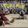 Pokemon IRL