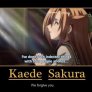 kämpfer haz plot