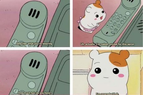 hamtaro