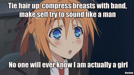The perfect disguise