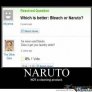 naruto or bleach