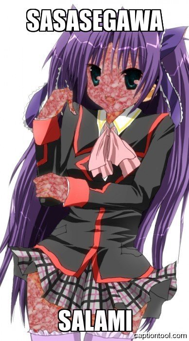 Sasasegawa Salami