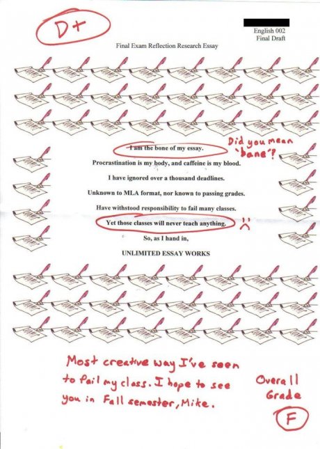 Fate/Stay Essay