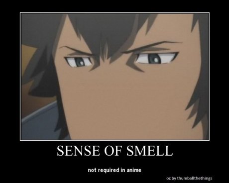 the importance of noses