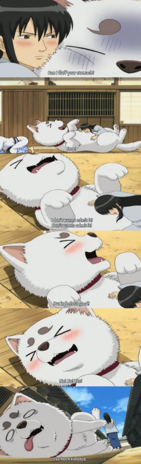 How dogs feel
