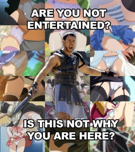mfw someone didnt like full ecchi anime