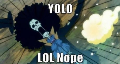 yolo