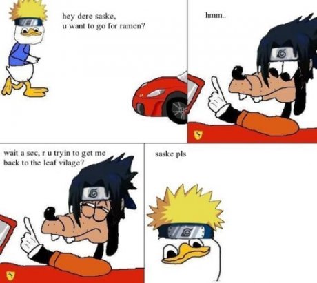 saske pls