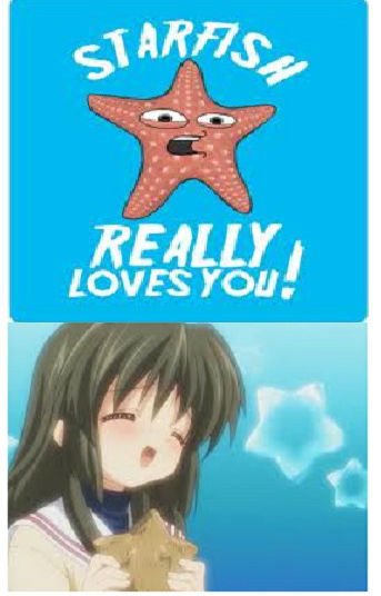 Fuko loves starfish