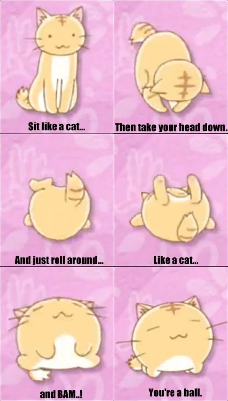 Did u know cats could just... do dat?