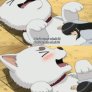How dogs feel