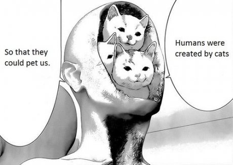 the meaning of life.