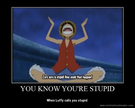 You know you're stupid when...