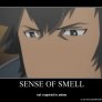 the importance of noses