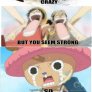 The Story of the Strawhats