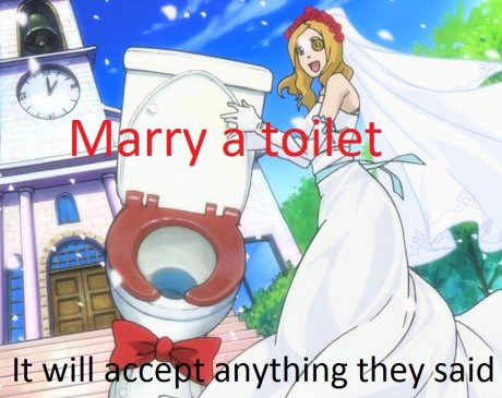 Perfect Marriage