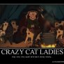 crazy cat ladies