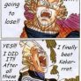 DBZ finally