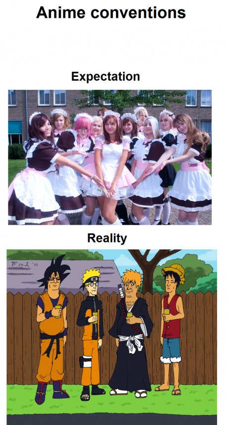 Animecons
