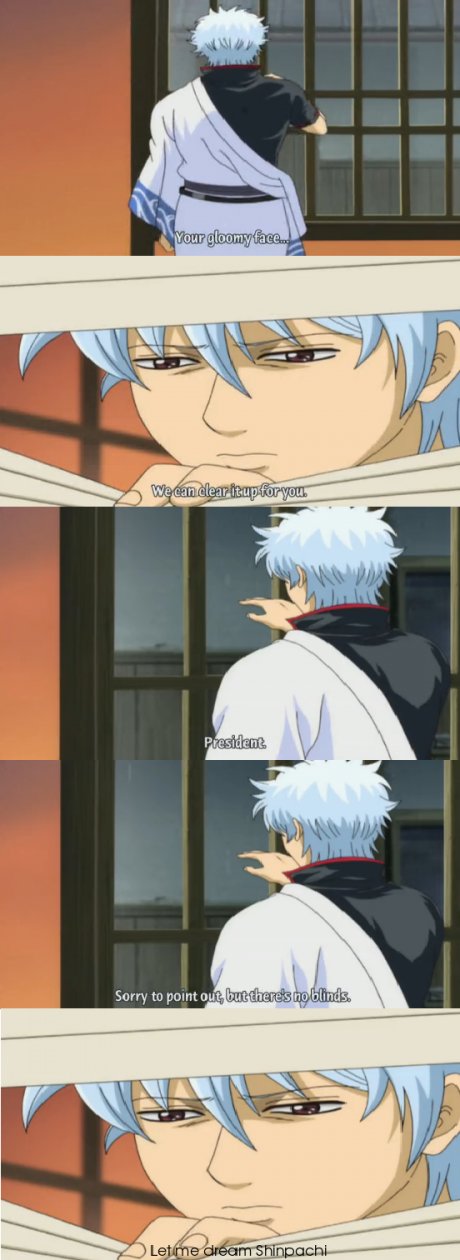 I wish i could afford blinds